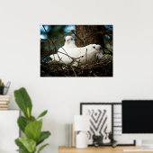 Drei in einem Baum Poster (Heimbüro)