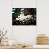 Drei in einem Baum Poster (Küche)