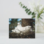 Drei in einem Baum Postkarte (Stehend Vorderseite)