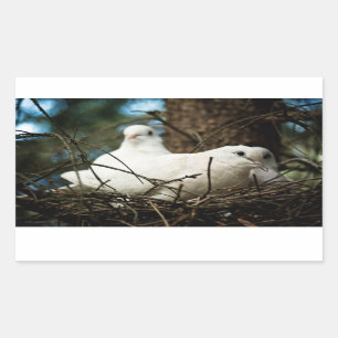 Drei in einem Baum Rechteckiger Aufkleber