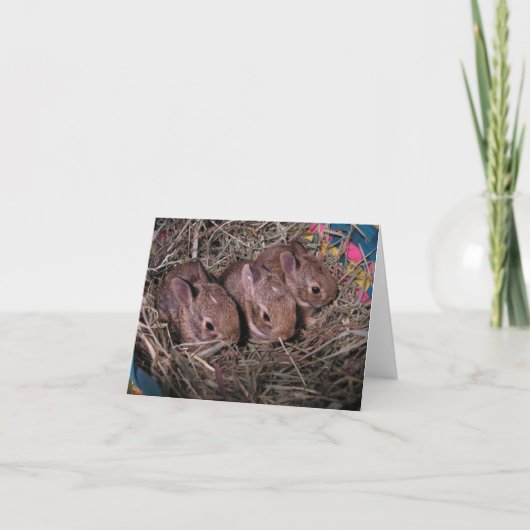 Drei in einer Reihe Dankeskarte (Vorderseite)