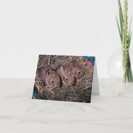 Drei in einer Reihe Dankeskarte