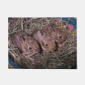 Drei in einer Reihe Fußmatte (Vorderseite)