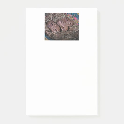 "Drei in einer Reihe!" Post-it Klebezettel (Vorderseite)