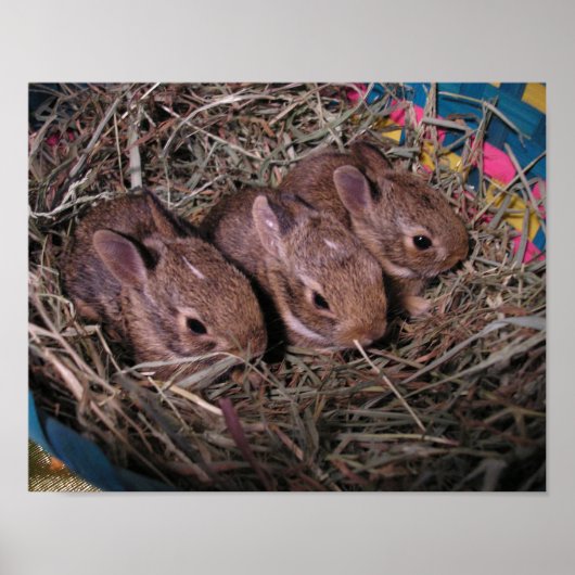 Drei in einer Reihe Poster (Vorne)