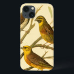 Drei inländische Vögel auf einer Zweigniederlassun Case-Mate iPhone Hülle<br><div class="desc">Der Künstler W. Rutledge hat die lebhaften Farben dieser Hausvögel perfekt eingefangen. Holen Sie sich dieses einfache,  aber schön realistische Bild. Seitenansicht von zwei gelben Vögeln und einem dunkleren Vogel auf einem Zweig und Blick in verschiedene Richtungen.</div>