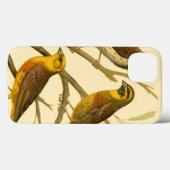 Drei inländische Vögel auf einer Zweigniederlassun Case-Mate iPhone Hülle (Rückseite (Horizontal))