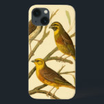 Drei inländische Vögel auf einer Zweigniederlassun Case-Mate iPhone Hülle<br><div class="desc">Der Künstler W. Rutledge hat die lebhaften Farben dieser Hausvögel perfekt eingefangen. Holen Sie sich dieses einfache,  aber schön realistische Bild. Seitenansicht von zwei gelben Vögeln und einem dunkleren Vogel auf einem Zweig und Blick in verschiedene Richtungen.</div>