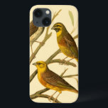 Drei inländische Vögel auf einer Zweigniederlassun Case-Mate iPhone Hülle<br><div class="desc">Der Künstler W. Rutledge hat die lebhaften Farben dieser Hausvögel perfekt eingefangen. Holen Sie sich dieses einfache,  aber schön realistische Bild. Seitenansicht von zwei gelben Vögeln und einem dunkleren Vogel auf einem Zweig und Blick in verschiedene Richtungen.</div>