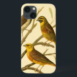 Drei inländische Vögel auf einer Zweigniederlassun Case-Mate iPhone Hülle<br><div class="desc">Der Künstler W. Rutledge hat die lebhaften Farben dieser Hausvögel perfekt eingefangen. Holen Sie sich dieses einfache,  aber schön realistische Bild. Seitenansicht von zwei gelben Vögeln und einem dunkleren Vogel auf einem Zweig und Blick in verschiedene Richtungen.</div>