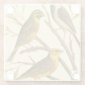 Drei inländische Vögel auf einer Zweigniederlassun Glasuntersetzer (Rückseite)