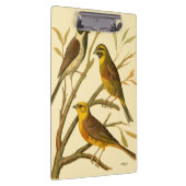 Drei inländische Vögel auf einer Zweigniederlassun Klemmbrett (Rechts)