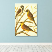 Drei inländische Vögel auf einer Zweigniederlassun Leinwanddruck (Insitu (Holzboden))