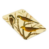 Drei inländische Vögel auf einer Zweigniederlassun Magnet (Rechte Seite)