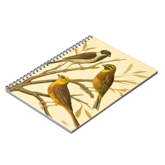 Drei inländische Vögel auf einer Zweigniederlassun Notizblock (Linke Seite)