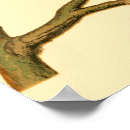 Drei inländische Vögel auf einer Zweigniederlassun Poster (Ecke)