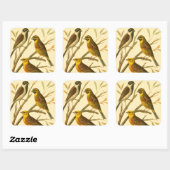 Drei inländische Vögel auf einer Zweigniederlassun Quadratischer Aufkleber (Blatt)