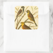 Drei inländische Vögel auf einer Zweigniederlassun Quadratischer Aufkleber (Tasche)