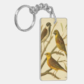 Drei inländische Vögel auf einer Zweigniederlassun Schlüsselanhänger (Vorderseite links)