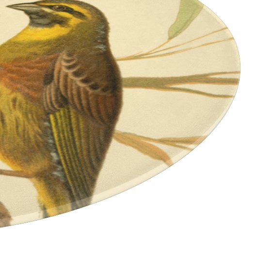 Drei inländische Vögel auf einer Zweigniederlassun Schneidebrett (Ecke)