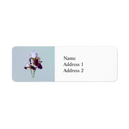 Drei Ire in den Shades of Magenta (Vorne)