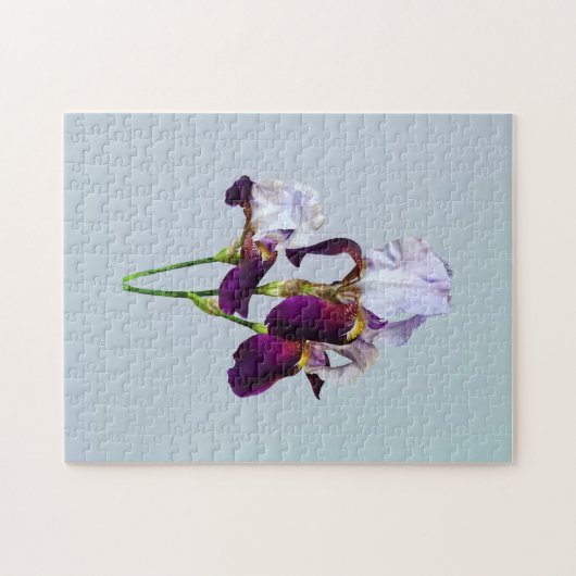 Drei Ire in den Shades of Magenta Puzzle (Horizontal)