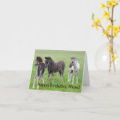 Drei isländische Colts. Karte (Gelbe Blume)