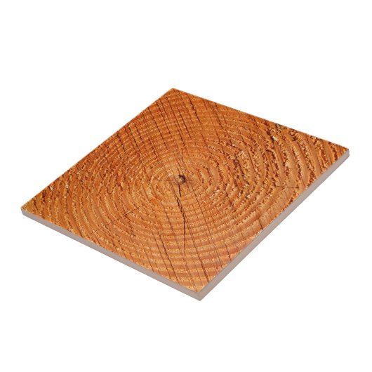 Drei Jahresringe nah Fliese (Seite)