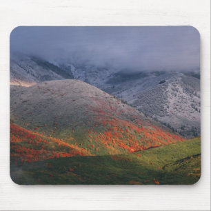 Drei Jahreszeiten Laub, rote Ahornbäume und Herbst Mousepad