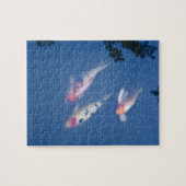 Drei japanische Koi-Fische im Teich Puzzle (Horizontal)