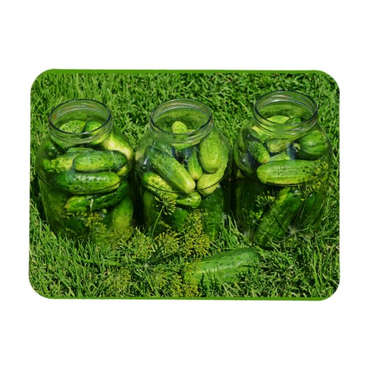 Drei Jars Gurken und Dill on Grass Magnet (Horizontal)
