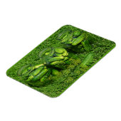 Drei Jars Gurken und Dill on Grass Magnet (Linke Seite)