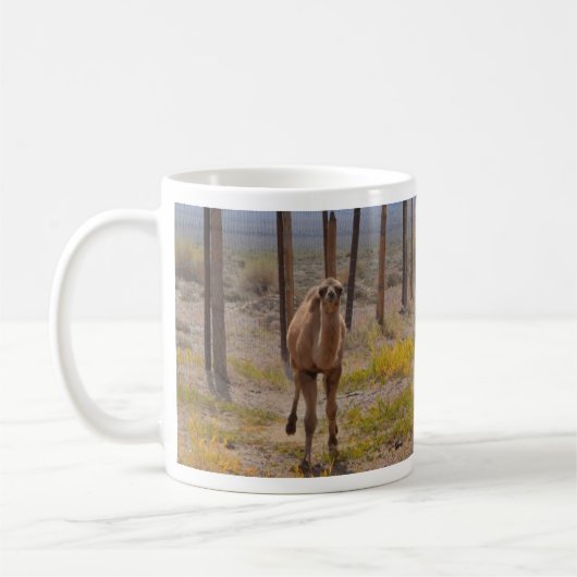 Drei junge Kamele Kaffeetasse (Links)