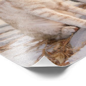 Drei junge niedliche Katzenkätzchen sitzen freundl Fotodruck (Ecke)