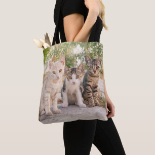 Drei junge niedliche Katzenkätzchen sitzen freundl Tasche