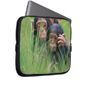 Drei junge Schimpansen (Pantroglodytes) in Laptopschutzhülle (Vorne Rechts)