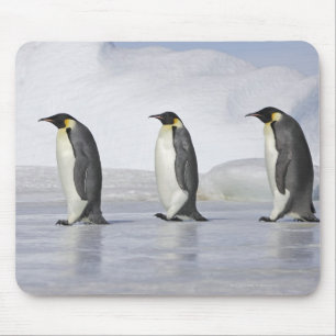 Drei Kaiser-Pinguine, Schnee-Hügel-Insel Mousepad