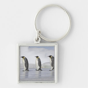 Drei Kaiser-Pinguine, Schnee-Hügel-Insel Schlüsselanhänger