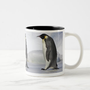Drei Kaiser-Pinguine, Schnee-Hügel-Insel Zweifarbige Tasse