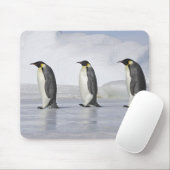 Drei Kaiserpinguine, Insel Snow Hill Mousepad (Mit Mouse)