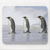Drei Kaiserpinguine, Insel Snow Hill Mousepad (Vorne)