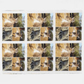 Drei Kangaroo-BilderCollage, Lge Fleece Blanket (Vorderseite (Horizontal))