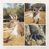 Drei Kangaroo-Bildersammlungen, Untersetzer aus Gl (Vorderseite)