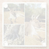 Drei Kangaroo-Bildersammlungen, Untersetzer aus Gl (Rückseite)