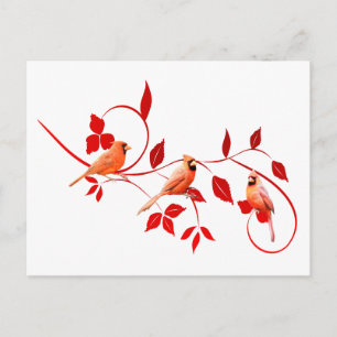 Drei Kardinäle Postkarte