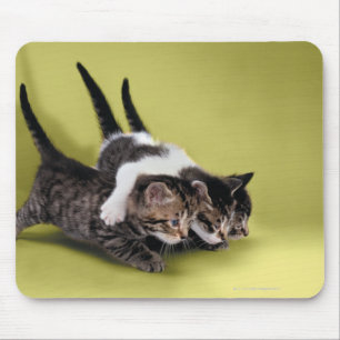 Drei Kätzchen, die sich umarmen Mousepad