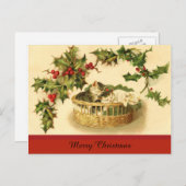 Drei Kätzchen in einem Korb auf der Postkarte (Vorne/Hinten)