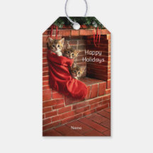 Drei Kätzchen in einem Weihnachtsstrumpf Geschenka