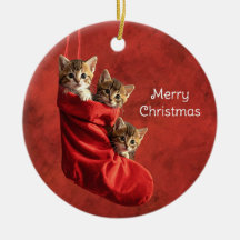 Drei Kätzchen in einem Weihnachtsstrumpf