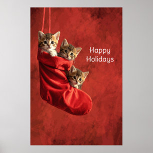 Drei Kätzchen in einem Weihnachtsstrumpf Poster